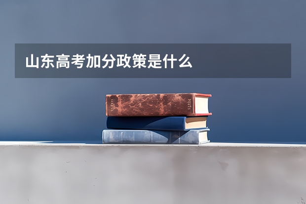 山东高考加分政策是什么