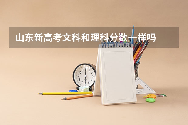 山东新高考文科和理科分数一样吗