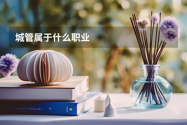 城管属于什么职业