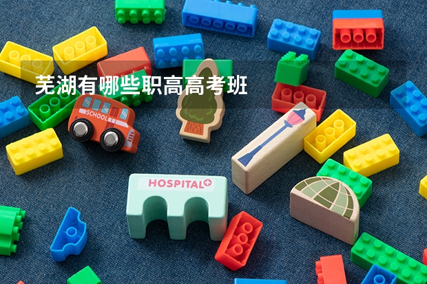 芜湖有哪些职高高考班