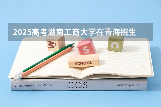 2025高考湖南工商大学在青海招生计划