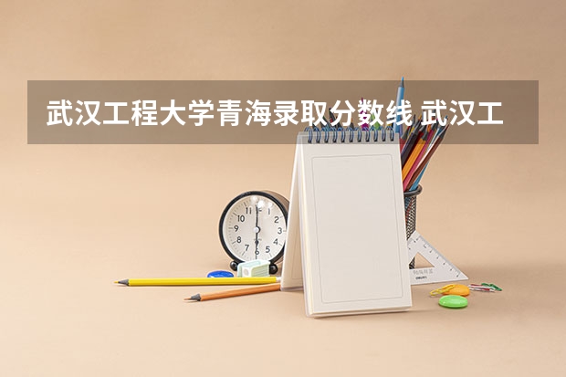 武汉工程大学青海录取分数线 武汉工程大学青海招生人数
