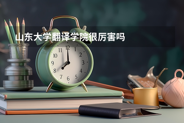 山东大学翻译学院很厉害吗