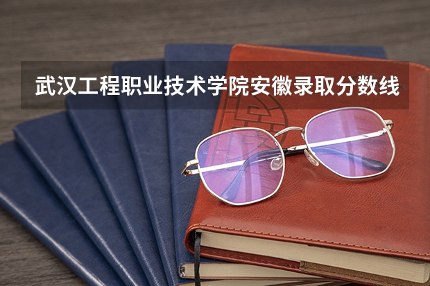 武汉工程职业技术学院安徽录取分数线 武汉工程职业技术学院安徽招生人数