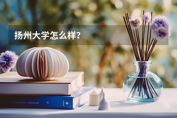 扬州大学怎么样？