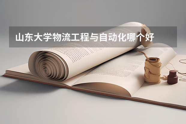 山东大学物流工程与自动化哪个好