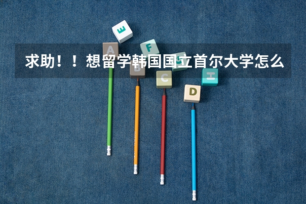求助!!想留学韩国国立首尔大学怎么申请!