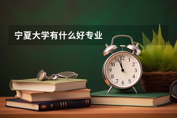 宁夏大学有什么好专业