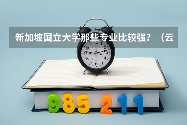 新加坡国立大学那些专业比较强？（云南民族大学东南亚南亚语言文化学院的介绍）