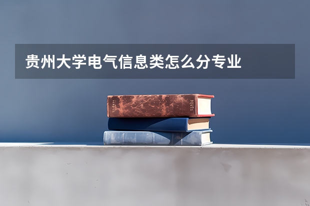 贵州大学电气信息类怎么分专业