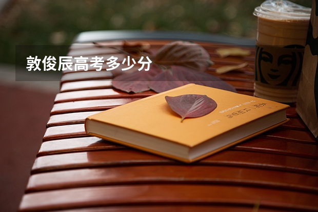 敦俊辰高考多少分