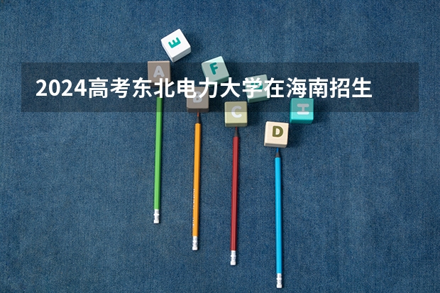 2024高考东北电力大学在海南招生计划