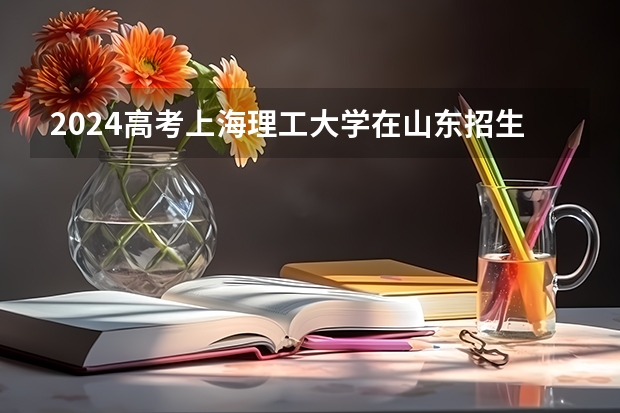 2024高考上海理工大学在山东招生计划