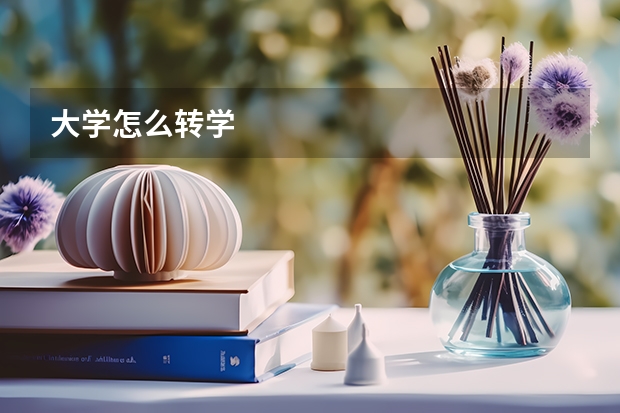 大学怎么转学