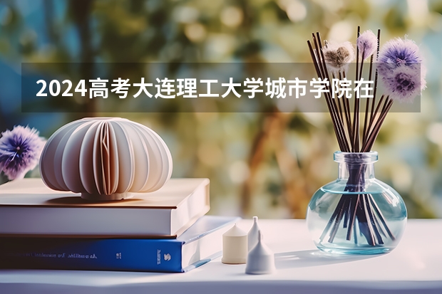2024高考大连理工大学城市学院在上海招生计划