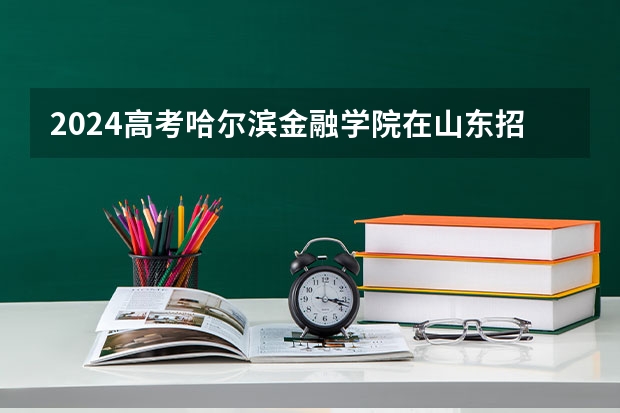 2024高考哈尔滨金融学院在山东招生计划