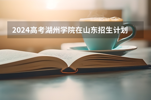 2024高考湖州学院在山东招生计划