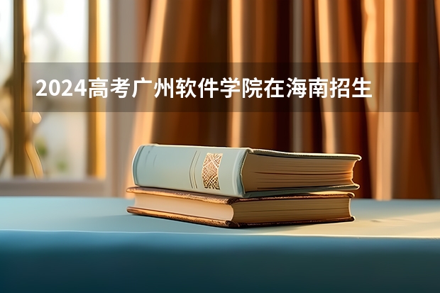 2024高考广州软件学院在海南招生计划
