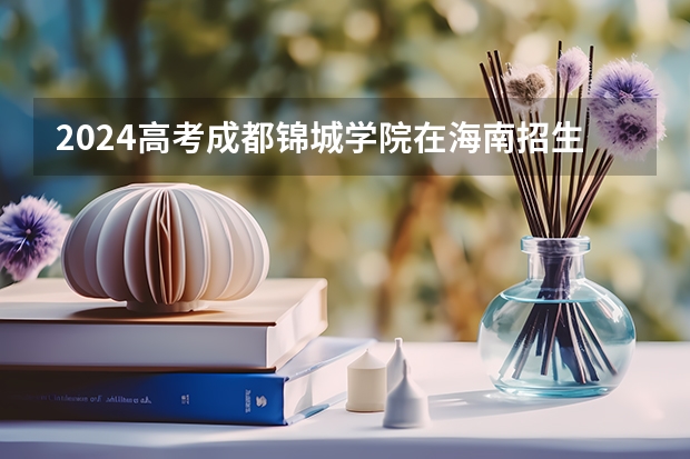 2024高考成都锦城学院在海南招生计划
