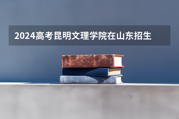 2024高考昆明文理学院在山东招生计划