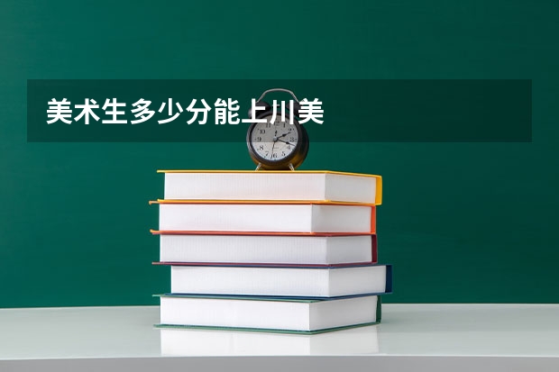 美术生多少分能上川美