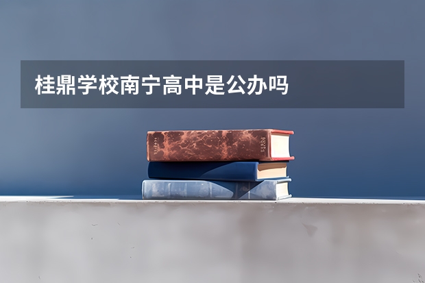 桂鼎学校南宁高中是公办吗