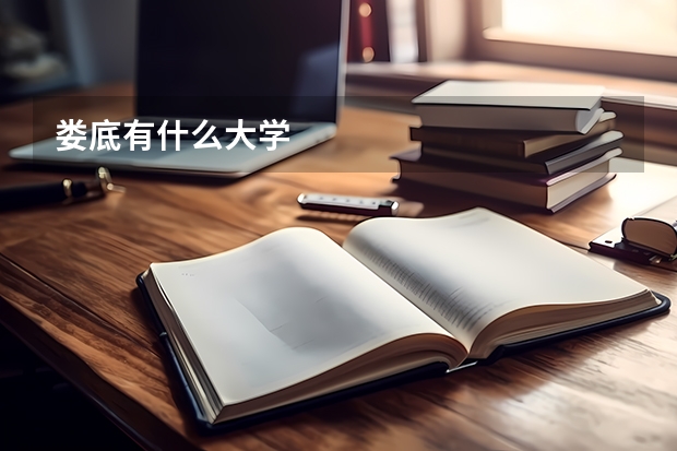 娄底有什么大学