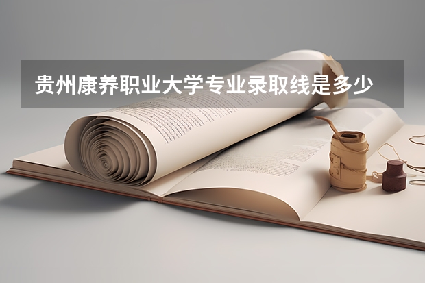 贵州康养职业大学专业录取线是多少