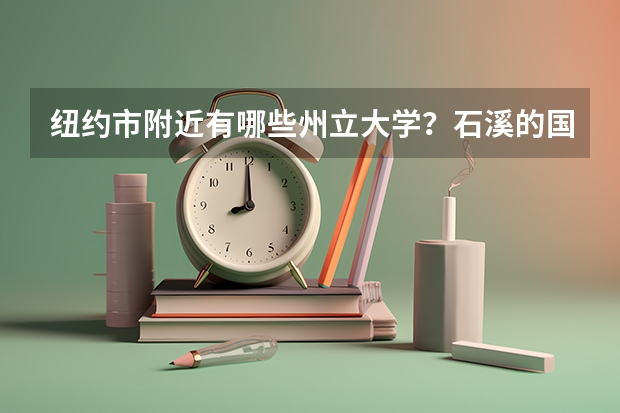 纽约市附近有哪些州立大学？石溪的国际生录取率是不是很低？？