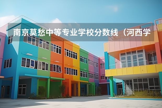 南京莫愁中等专业学校分数线（河西学院文科分数线）