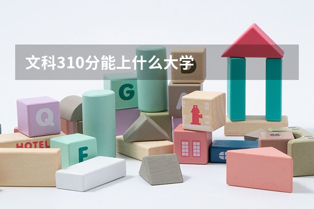 文科310分能上什么大学