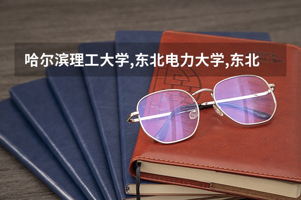 哈尔滨理工大学,东北电力大学,东北林业大学哪个好