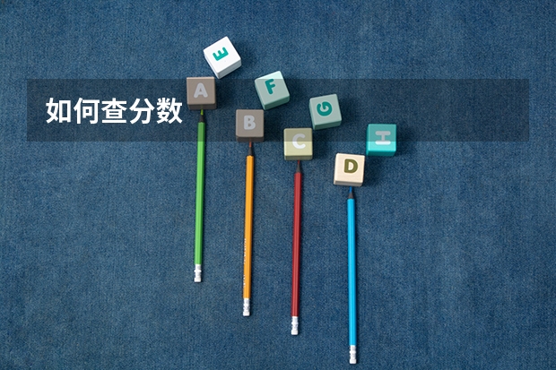 如何查分数