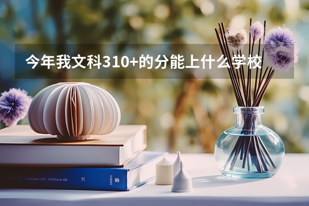 今年我文科310+的分能上什么学校?