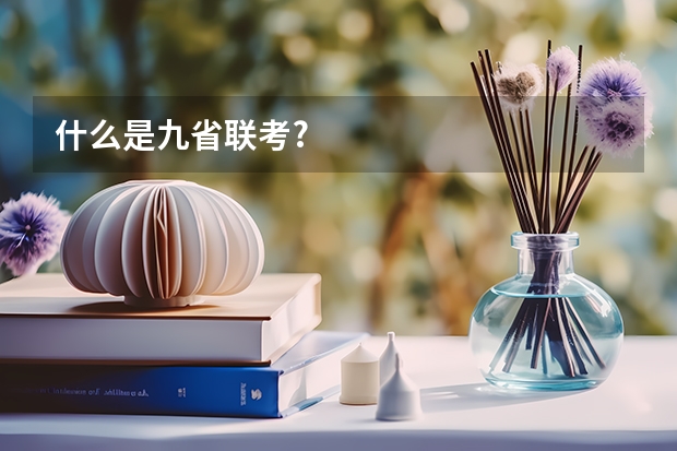什么是九省联考?
