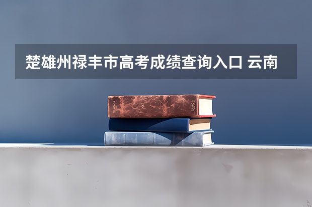 楚雄州禄丰市高考成绩查询入口 云南楚雄州禄丰县龙城中学招聘5名中学教师信息