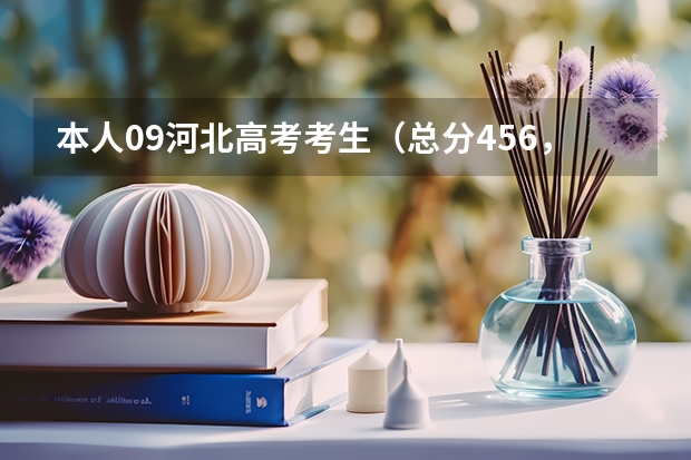 本人09河北高考考生（总分456，三本省控段432）想报三本计算机专业，能给我推荐几所大学吗？