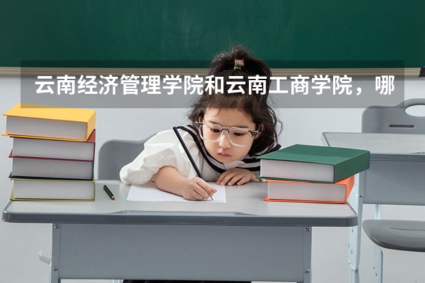 云南经济管理学院和云南工商学院，哪个学院更好一些？