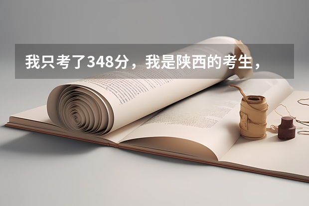 我只考了348分,我是陕西的考生,能上个什么的西安公办大学?