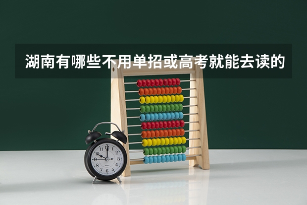 湖南有哪些不用单招或高考就能去读的公办学校或比较好的民办学校?