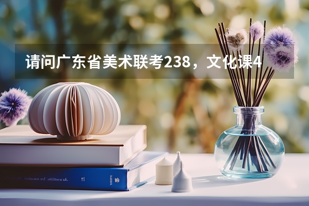 请问广东省美术联考238，文化课420左右，最划算的可能是哪个学校？虽然还不知分数线，但还是麻烦说
