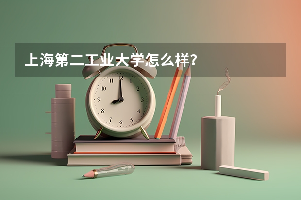 上海第二工业大学怎么样？