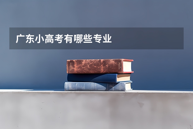 广东小高考有哪些专业