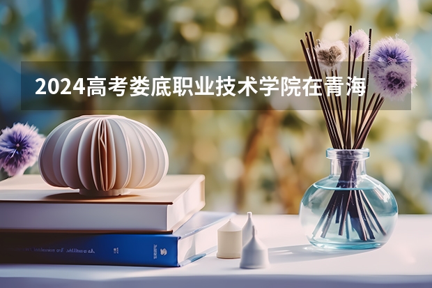 2024高考娄底职业技术学院在青海招生计划