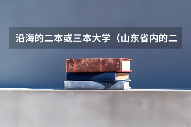 沿海的二本或三本大学（山东省内的二本大学）