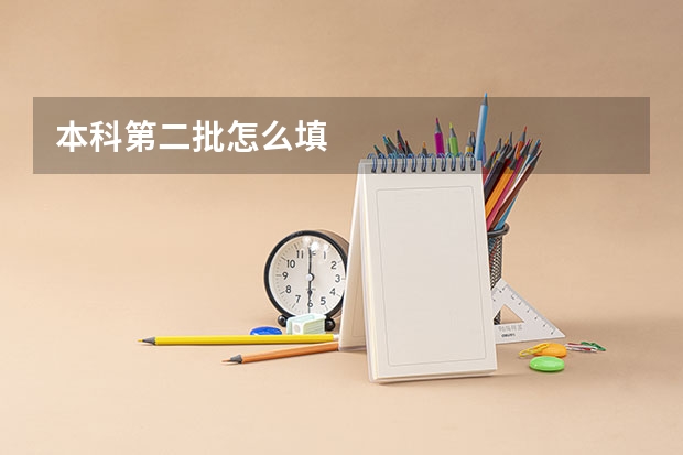 本科第二批怎么填