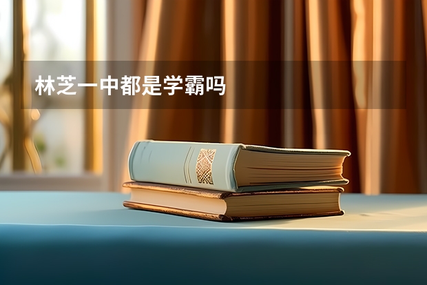 林芝一中都是学霸吗