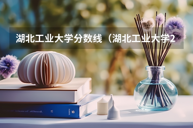 湖北工业大学分数线（湖北工业大学2023研究生录取复试分数线）