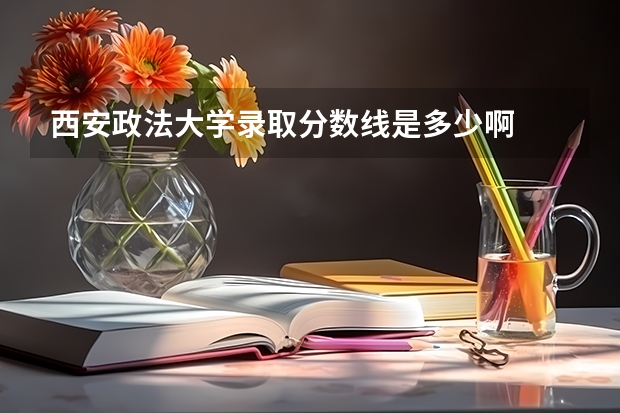西安政法大学录取分数线是多少啊