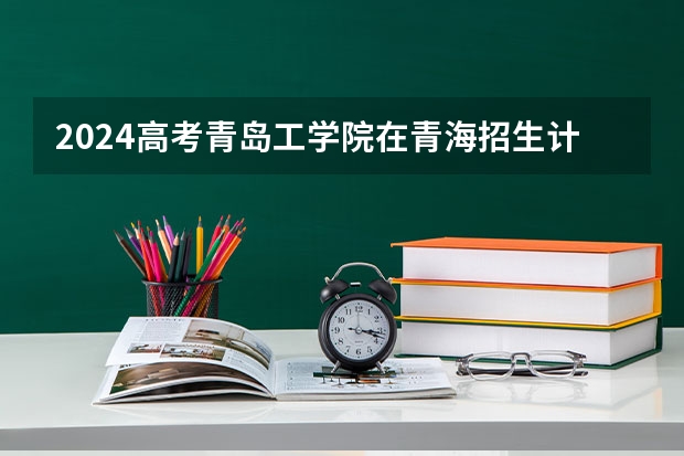 2024高考青岛工学院在青海招生计划